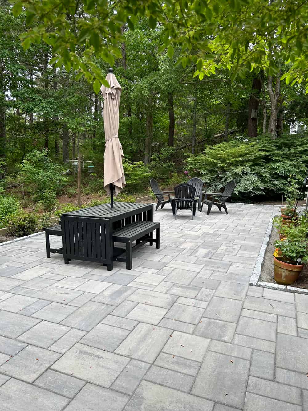 Landscape Maintenance and Renovation image