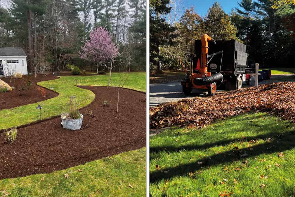 Spring & Fall Cleanup image